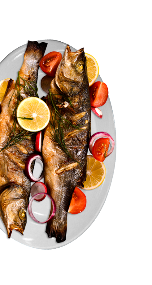 Erol Balık Restaurant Banner