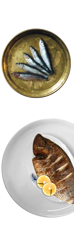 Erol Balık Restaurant Banner